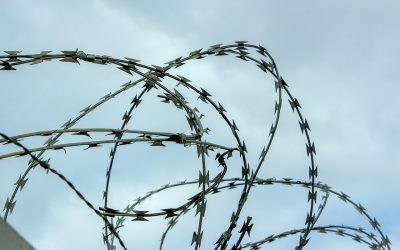 Bea Cukai Sultan Hasanuddin dan Tantangan Perdagangan Internasional 2025