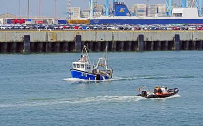Prosedur Cek Bea Masuk di Pelabuhan Sultan Hasanuddin